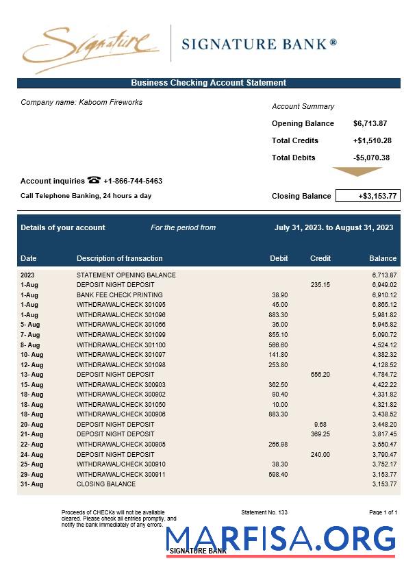 Realistic Signature Bank enterprise statement Word and PDF template